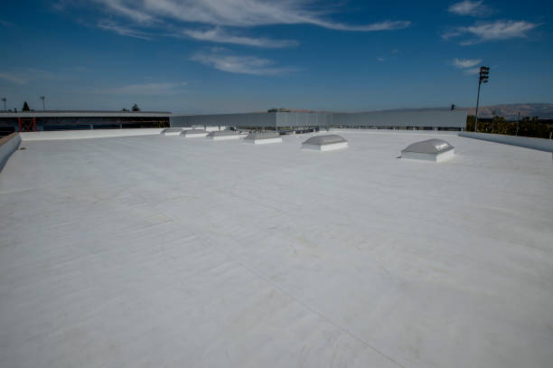 Best Asphalt Shingles Roofing  in Fruita, CO
