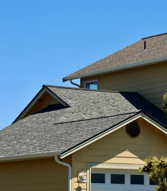 Best Asphalt Shingle Roofing  in Fruita, CO